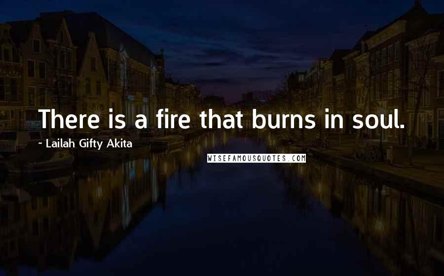 Lailah Gifty Akita Quotes: There is a fire that burns in soul.