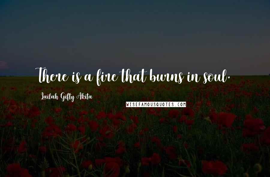 Lailah Gifty Akita Quotes: There is a fire that burns in soul.