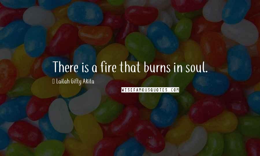 Lailah Gifty Akita Quotes: There is a fire that burns in soul.