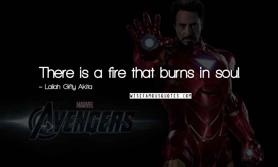 Lailah Gifty Akita Quotes: There is a fire that burns in soul.