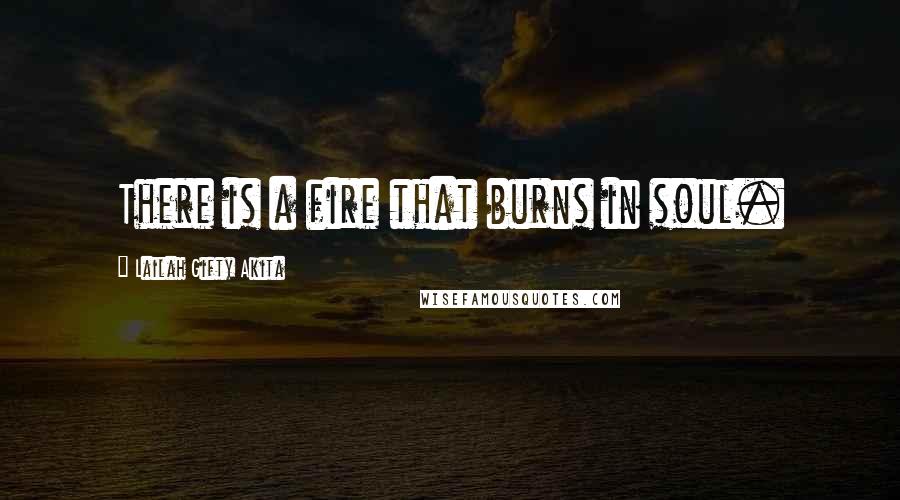 Lailah Gifty Akita Quotes: There is a fire that burns in soul.