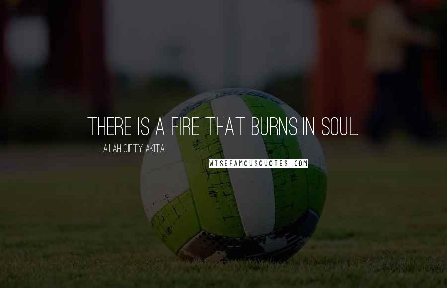Lailah Gifty Akita Quotes: There is a fire that burns in soul.
