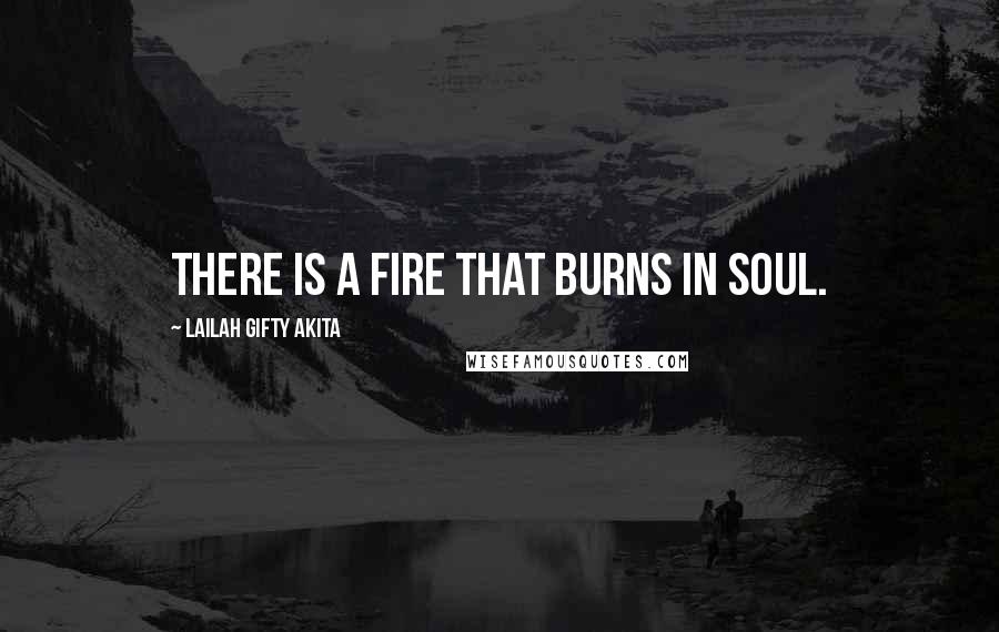Lailah Gifty Akita Quotes: There is a fire that burns in soul.