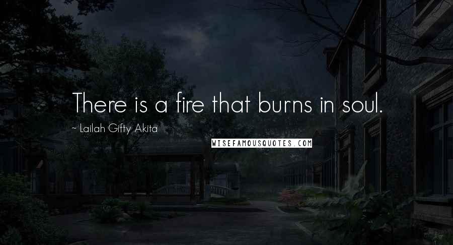 Lailah Gifty Akita Quotes: There is a fire that burns in soul.