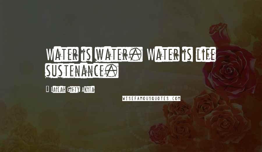 Lailah Gifty Akita Quotes: Water is water. Water is life sustenance.