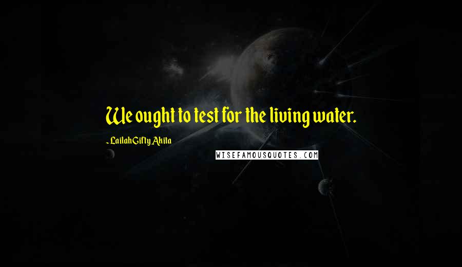 Lailah Gifty Akita Quotes: We ought to test for the living water.
