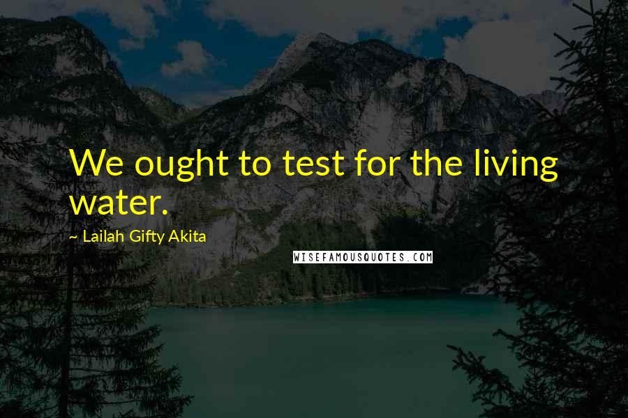 Lailah Gifty Akita Quotes: We ought to test for the living water.