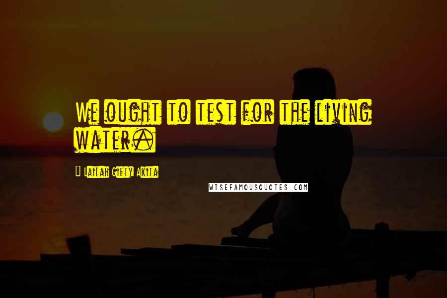 Lailah Gifty Akita Quotes: We ought to test for the living water.