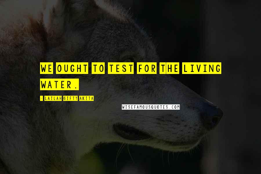 Lailah Gifty Akita Quotes: We ought to test for the living water.