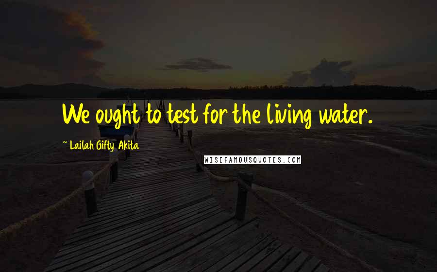 Lailah Gifty Akita Quotes: We ought to test for the living water.