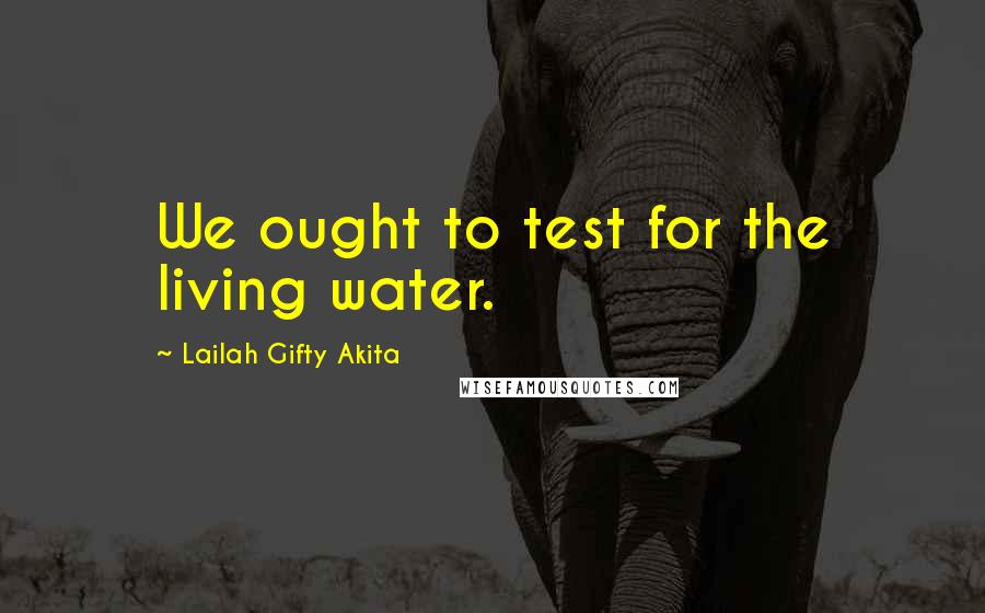 Lailah Gifty Akita Quotes: We ought to test for the living water.