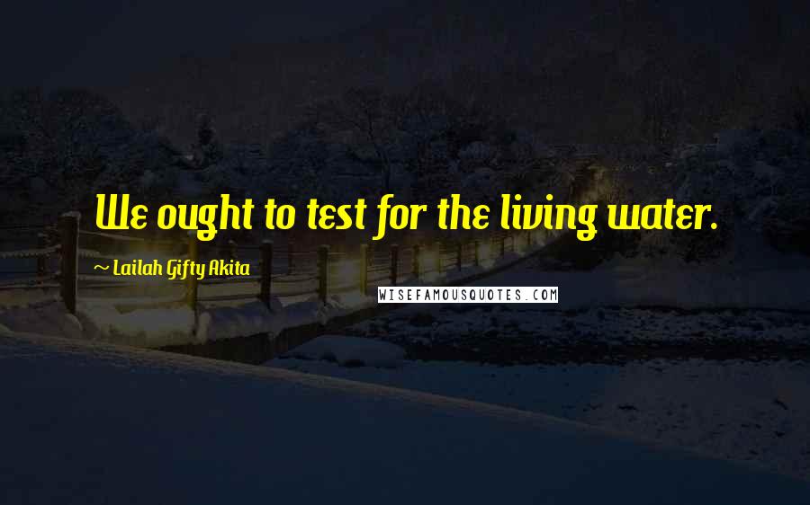 Lailah Gifty Akita Quotes: We ought to test for the living water.