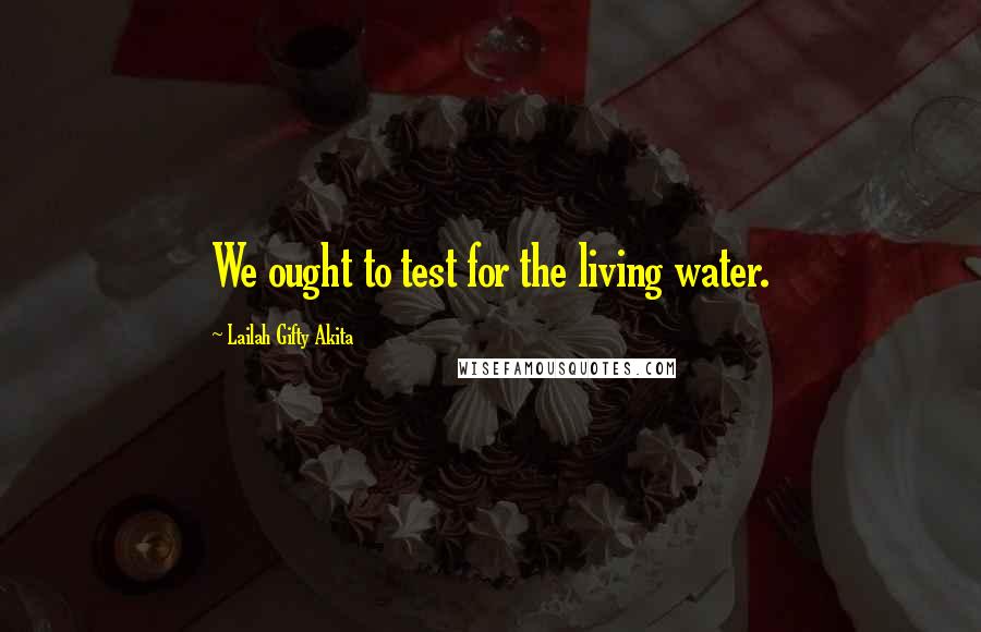 Lailah Gifty Akita Quotes: We ought to test for the living water.