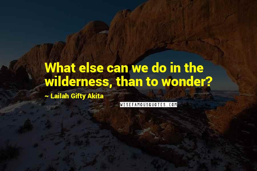 Lailah Gifty Akita Quotes: What else can we do in the wilderness, than to wonder?