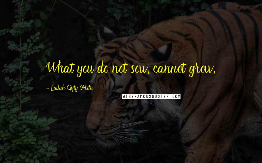 Lailah Gifty Akita Quotes: What you do not sow, cannot grow.