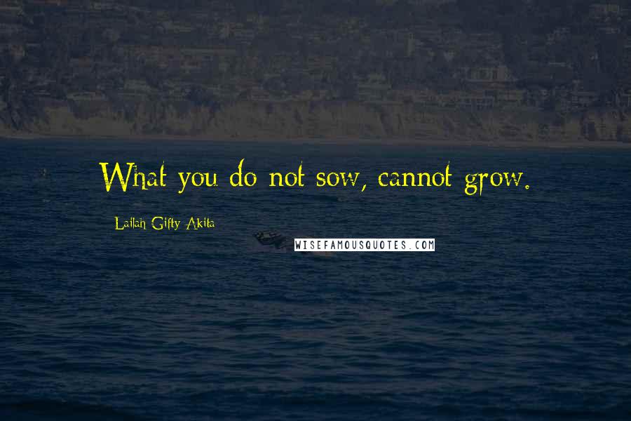 Lailah Gifty Akita Quotes: What you do not sow, cannot grow.
