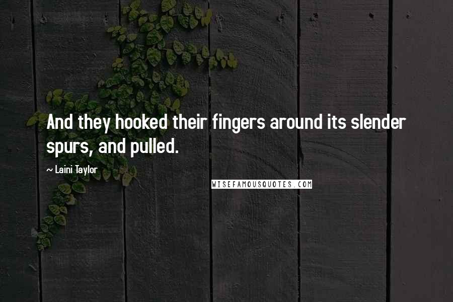 Laini Taylor Quotes: And they hooked their fingers around its slender spurs, and pulled.