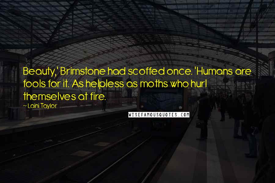 Laini Taylor Quotes: Beauty,' Brimstone had scoffed once. 'Humans are fools for it. As helpless as moths who hurl themselves at fire.