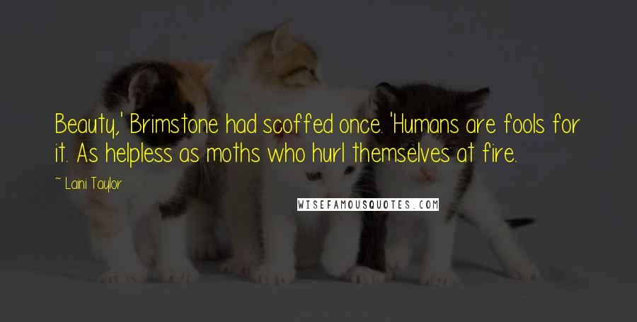 Laini Taylor Quotes: Beauty,' Brimstone had scoffed once. 'Humans are fools for it. As helpless as moths who hurl themselves at fire.