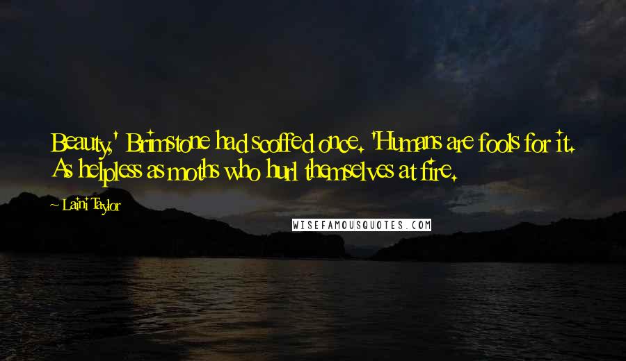 Laini Taylor Quotes: Beauty,' Brimstone had scoffed once. 'Humans are fools for it. As helpless as moths who hurl themselves at fire.