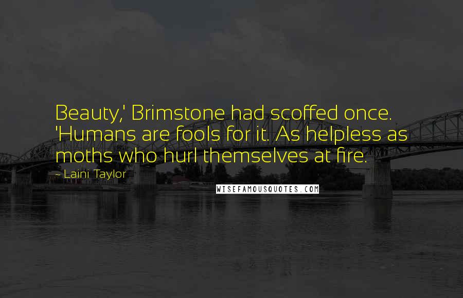 Laini Taylor Quotes: Beauty,' Brimstone had scoffed once. 'Humans are fools for it. As helpless as moths who hurl themselves at fire.