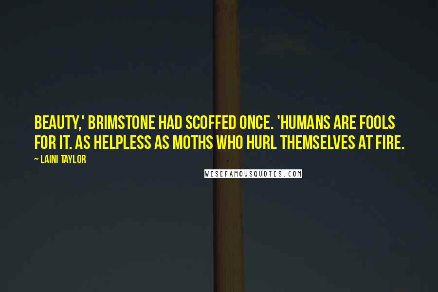 Laini Taylor Quotes: Beauty,' Brimstone had scoffed once. 'Humans are fools for it. As helpless as moths who hurl themselves at fire.