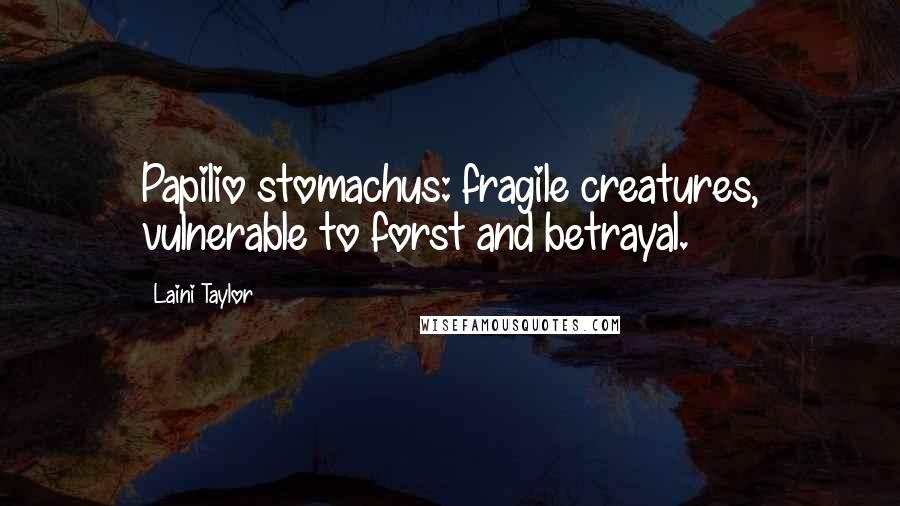 Laini Taylor Quotes: Papilio stomachus: fragile creatures, vulnerable to forst and betrayal.