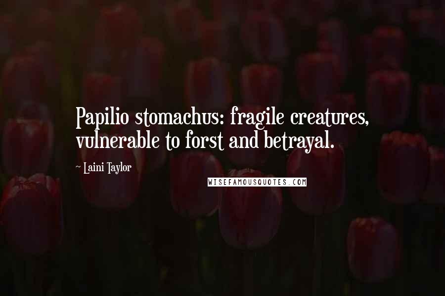 Laini Taylor Quotes: Papilio stomachus: fragile creatures, vulnerable to forst and betrayal.