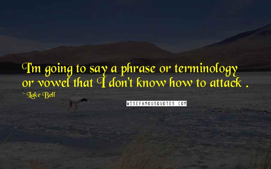 Lake Bell Quotes: I'm going to say a phrase or terminology or vowel that I don't know how to attack .