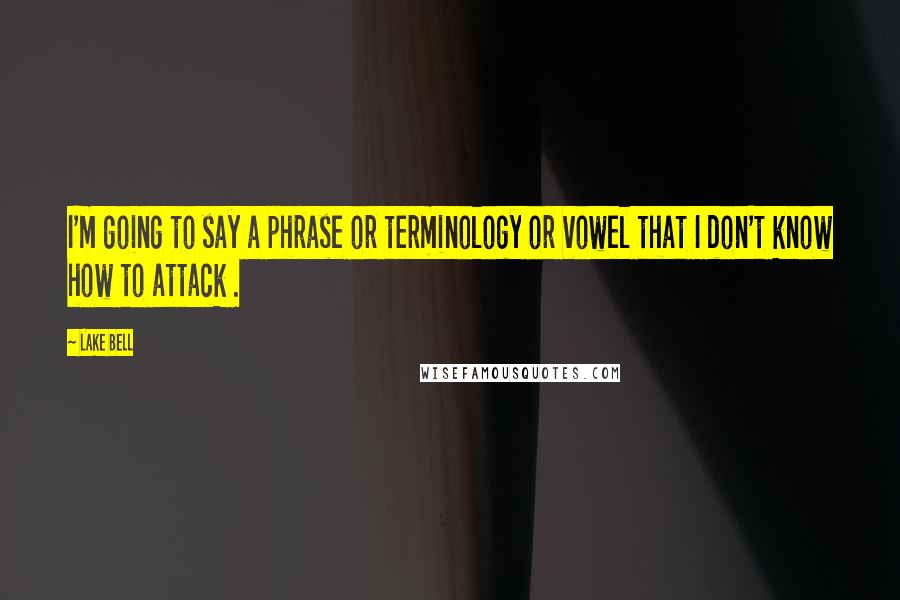 Lake Bell Quotes: I'm going to say a phrase or terminology or vowel that I don't know how to attack .