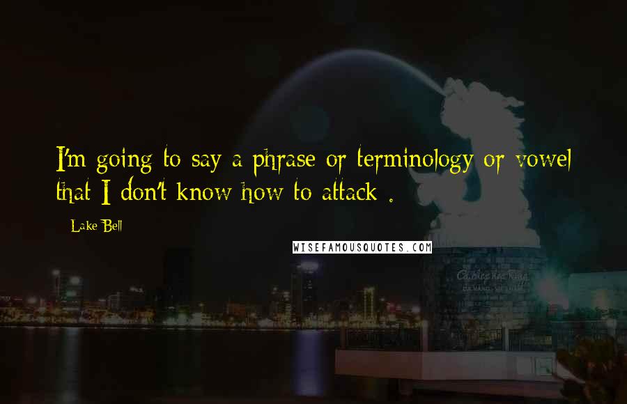 Lake Bell Quotes: I'm going to say a phrase or terminology or vowel that I don't know how to attack .