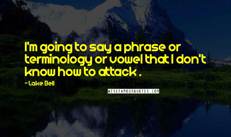 Lake Bell Quotes: I'm going to say a phrase or terminology or vowel that I don't know how to attack .