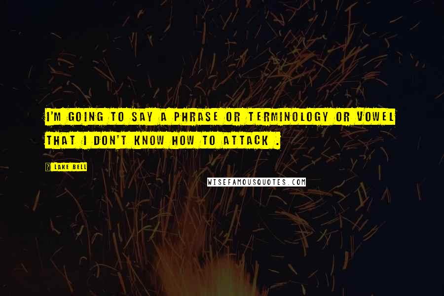 Lake Bell Quotes: I'm going to say a phrase or terminology or vowel that I don't know how to attack .