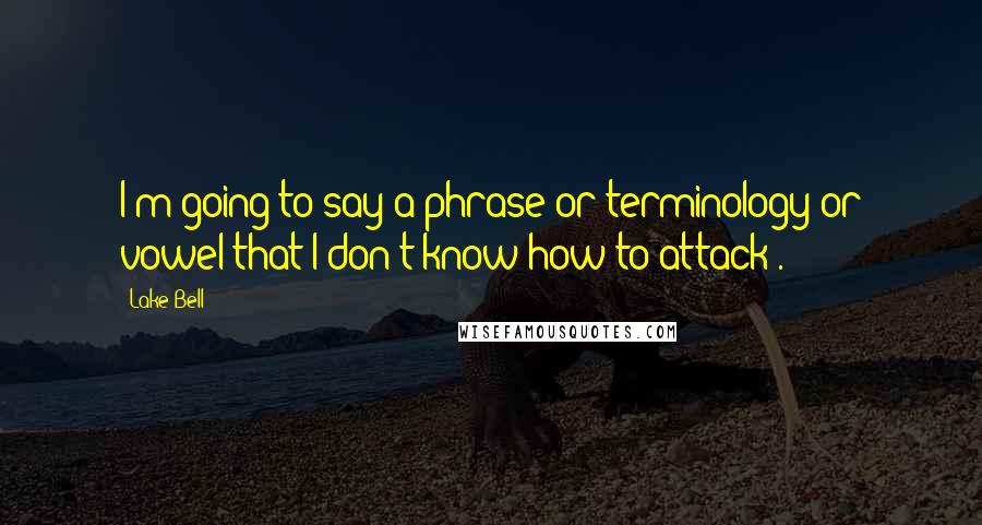 Lake Bell Quotes: I'm going to say a phrase or terminology or vowel that I don't know how to attack .