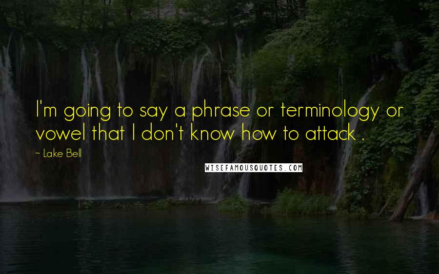 Lake Bell Quotes: I'm going to say a phrase or terminology or vowel that I don't know how to attack .