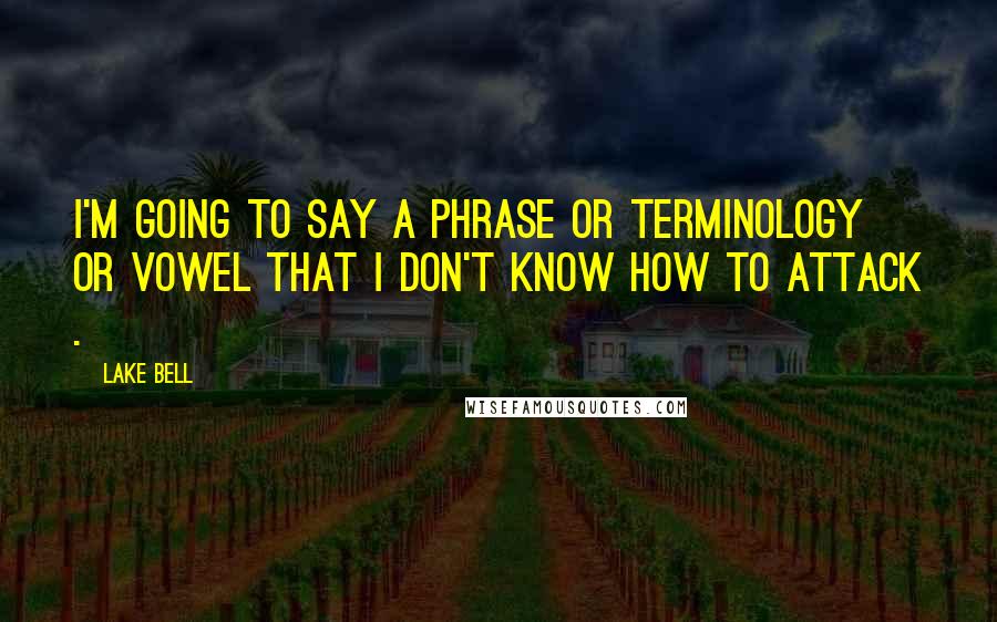 Lake Bell Quotes: I'm going to say a phrase or terminology or vowel that I don't know how to attack .