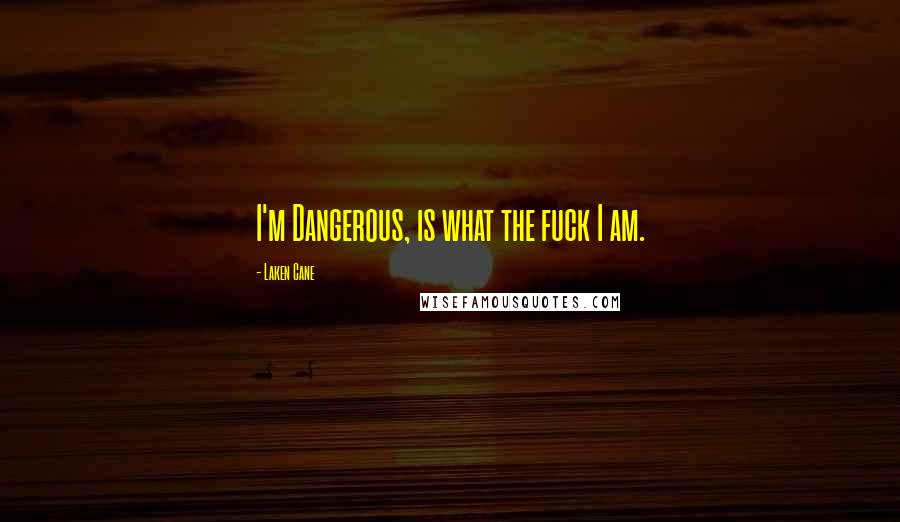 Laken Cane Quotes: I'm Dangerous, is what the fuck I am.