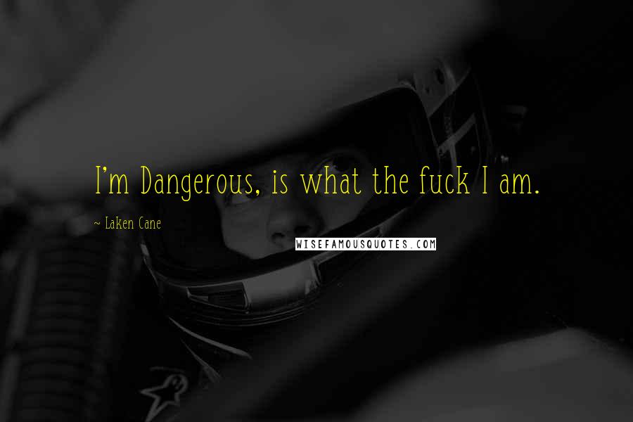 Laken Cane Quotes: I'm Dangerous, is what the fuck I am.