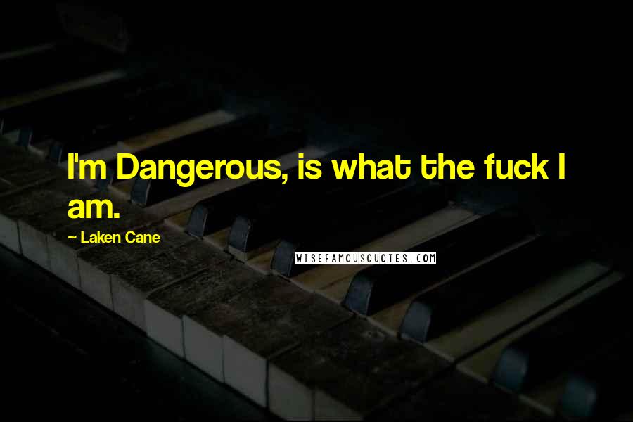 Laken Cane Quotes: I'm Dangerous, is what the fuck I am.