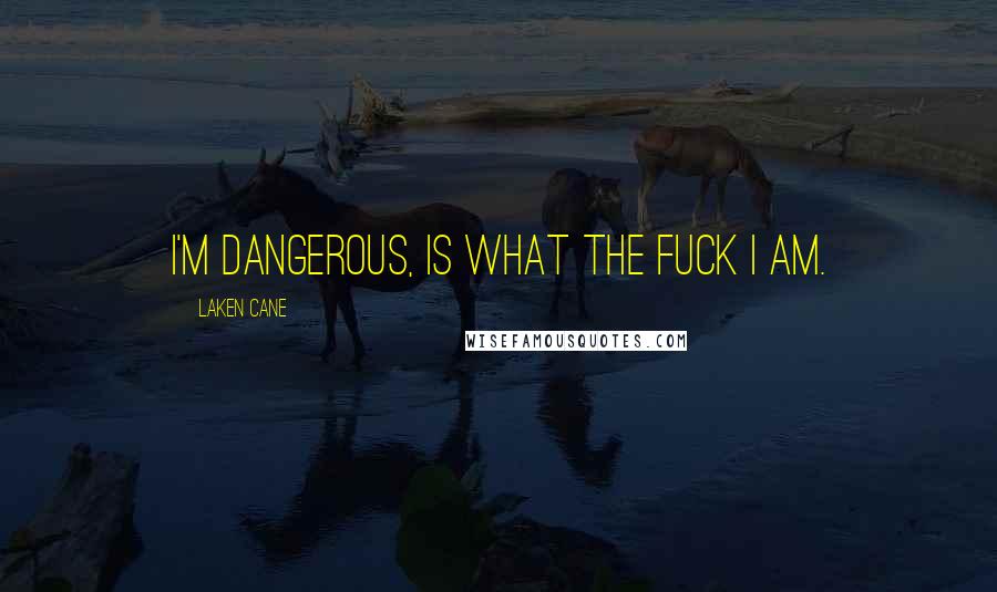 Laken Cane Quotes: I'm Dangerous, is what the fuck I am.