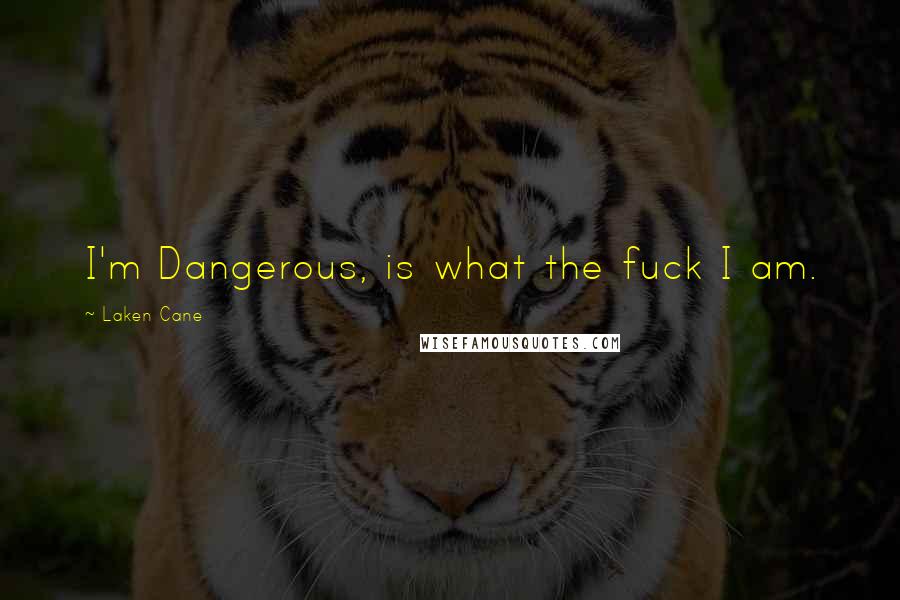 Laken Cane Quotes: I'm Dangerous, is what the fuck I am.