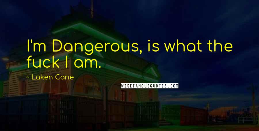 Laken Cane Quotes: I'm Dangerous, is what the fuck I am.