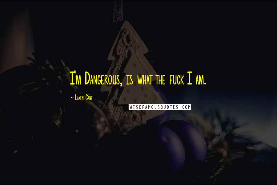 Laken Cane Quotes: I'm Dangerous, is what the fuck I am.