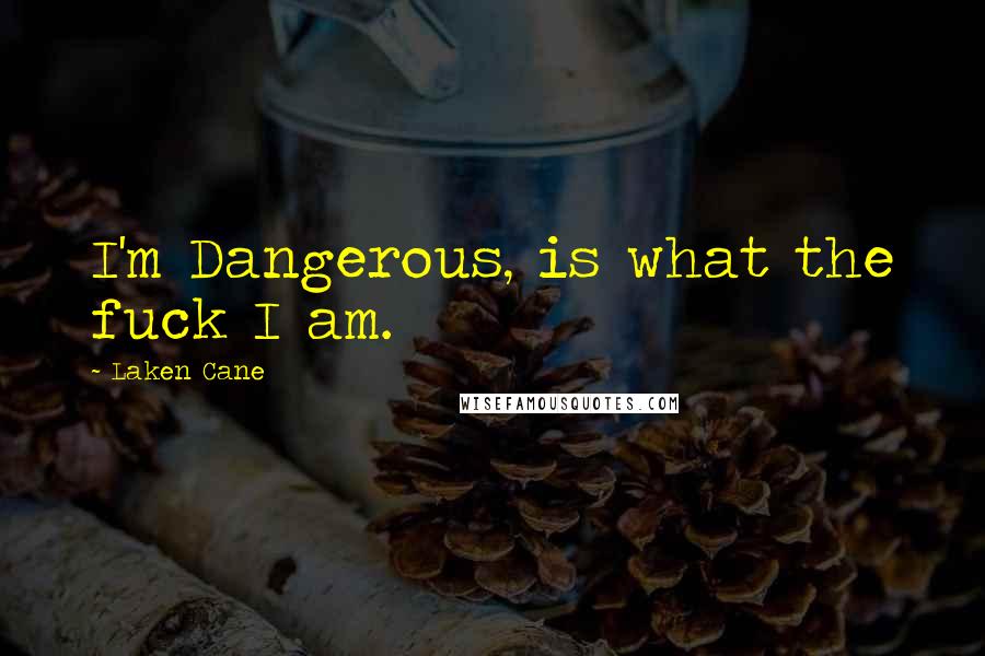 Laken Cane Quotes: I'm Dangerous, is what the fuck I am.
