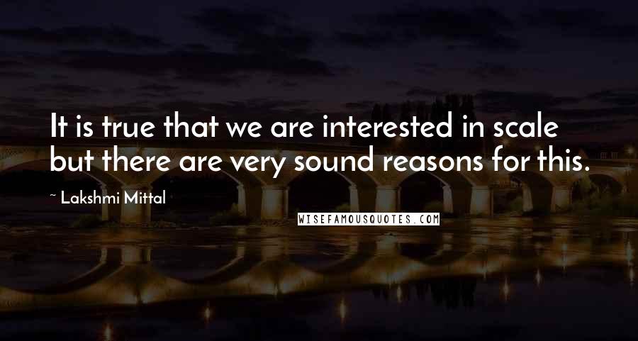 Lakshmi Mittal Quotes: It is true that we are interested in scale but there are very sound reasons for this.