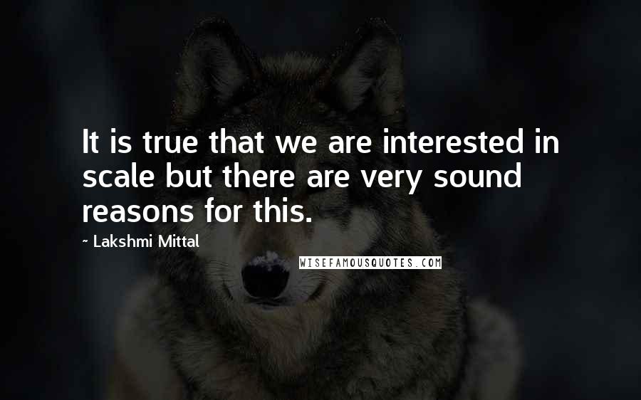 Lakshmi Mittal Quotes: It is true that we are interested in scale but there are very sound reasons for this.