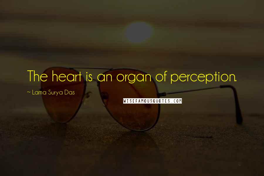 Lama Surya Das Quotes: The heart is an organ of perception.