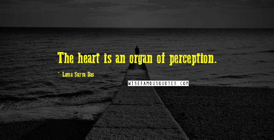 Lama Surya Das Quotes: The heart is an organ of perception.