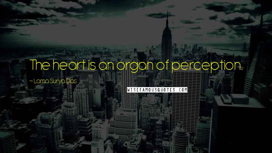 Lama Surya Das Quotes: The heart is an organ of perception.