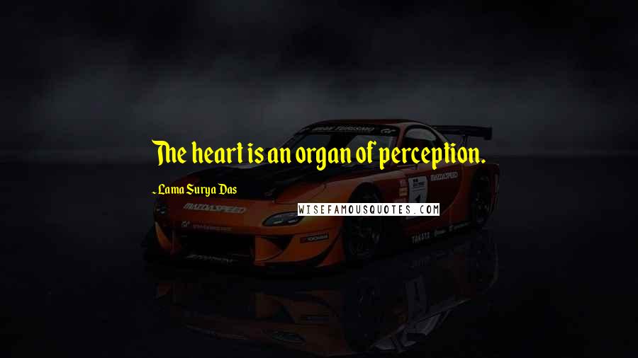 Lama Surya Das Quotes: The heart is an organ of perception.